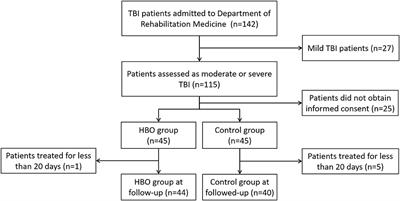 Hyperbaric oxygen therapy promotes consciousness, cognitive function, and prognosis recovery in patients following traumatic brain injury through various pathways